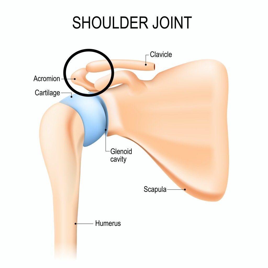 AC Joint